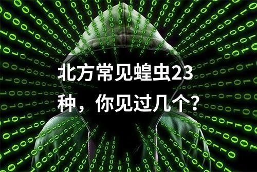 北方常见蝗虫23种，你见过几个？