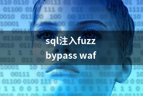 sql注入fuzz bypass waf