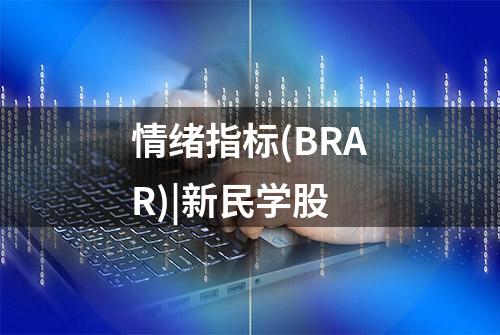 情绪指标(BRAR)|新民学股