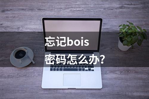 忘记bois密码怎么办？