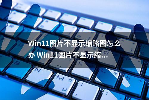 Win11图片不显示缩略图怎么办 Win11图片不显示缩略图解决方法