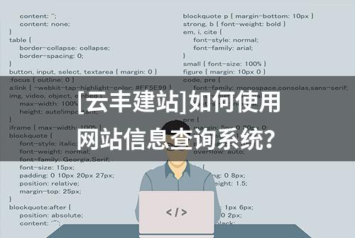 [云丰建站]如何使用网站信息查询系统？