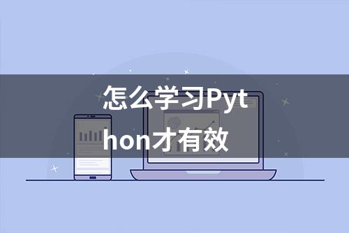 怎么学习Python才有效