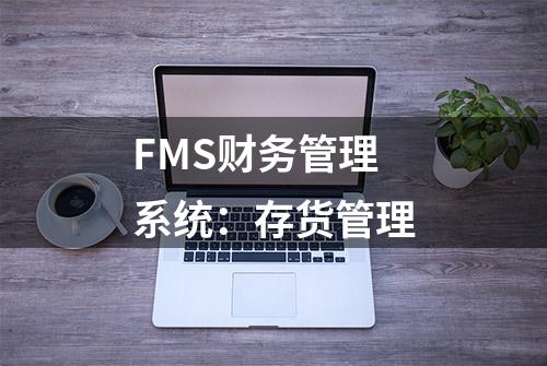 FMS财务管理系统：存货管理