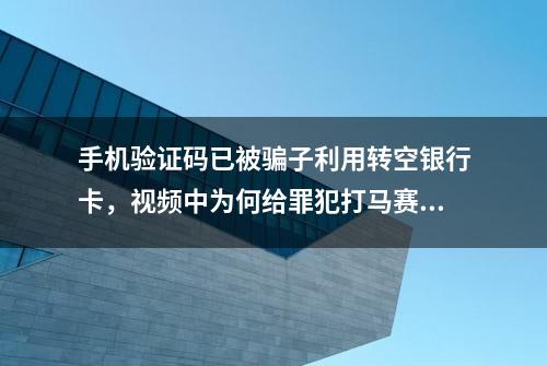 手机验证码已被骗子利用转空银行卡，视频中为何给罪犯打马赛克