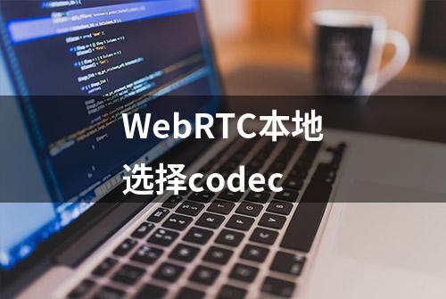 WebRTC本地选择codec