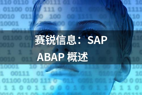 赛锐信息：SAP ABAP 概述