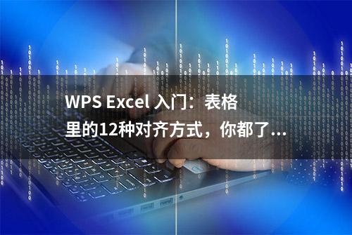 WPS Excel 入门：表格里的12种对齐方式，你都了解吗