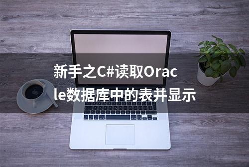 新手之C#读取Oracle数据库中的表并显示