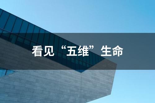 看见“五维”生命