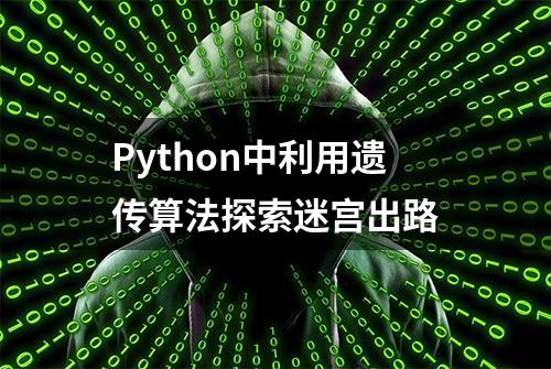 Python中利用遗传算法探索迷宫出路