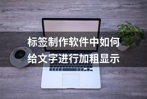 标签制作软件中如何给文字进行加粗显示