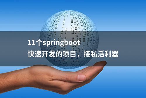 11个springboot快速开发的项目，接私活利器