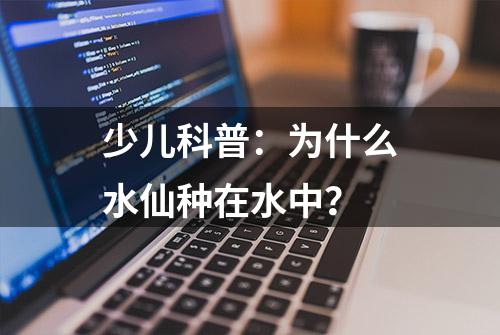 少儿科普：为什么水仙种在水中？