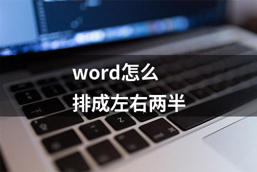 word怎么排成左右两半