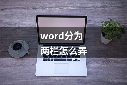 word分为两栏怎么弄