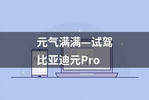 元气满满—试驾比亚迪元Pro