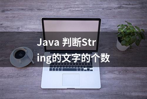 Java 判断String的文字的个数