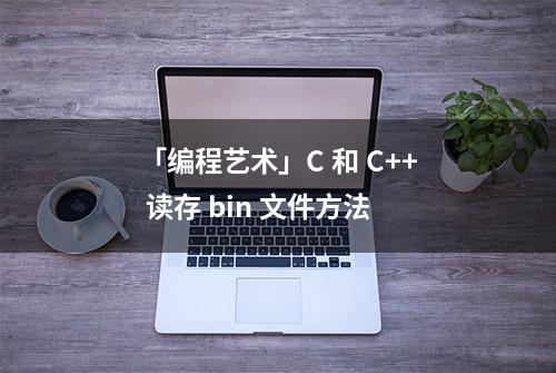 「编程艺术」C 和 C++ 读存 bin 文件方法