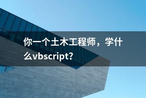 你一个土木工程师，学什么vbscript？