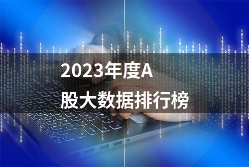 2023年度A股大数据排行榜