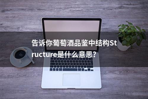 告诉你葡萄酒品鉴中结构Structure是什么意思？