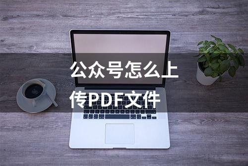 公众号怎么上传PDF文件