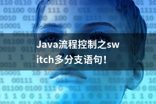 Java流程控制之switch多分支语句！