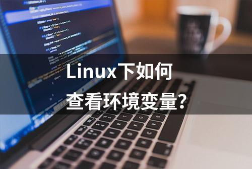 Linux下如何查看环境变量？