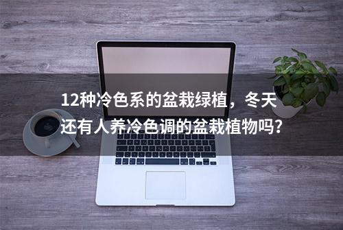 12种冷色系的盆栽绿植，冬天还有人养冷色调的盆栽植物吗？