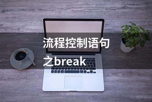 流程控制语句之break