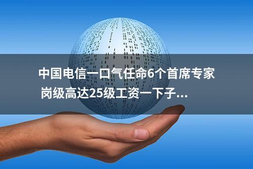 中国电信一口气任命6个首席专家 岗级高达25级工资一下子涨幅惊人