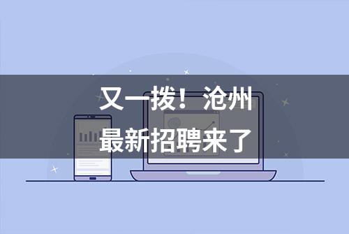 又一拨！沧州最新招聘来了