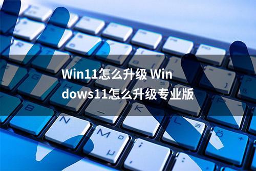 Win11怎么升级 Windows11怎么升级专业版