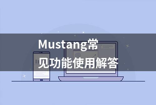 Mustang常见功能使用解答