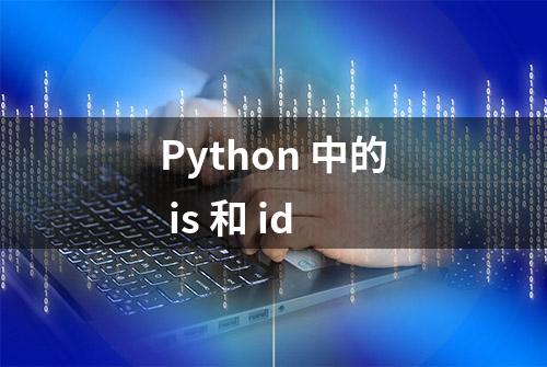 Python 中的 is 和 id