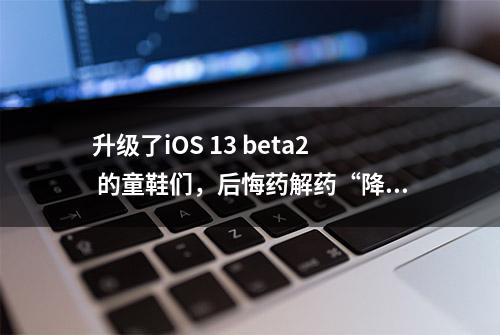 升级了iOS 13 beta2 的童鞋们，后悔药解药“降级配方”在这里