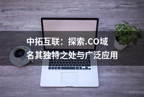 中拓互联：探索.CO域名其独特之处与广泛应用