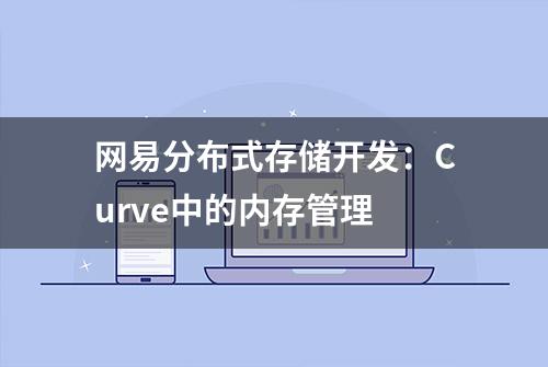 网易分布式存储开发：Curve中的内存管理