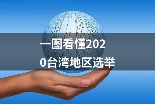 一图看懂2020台湾地区选举