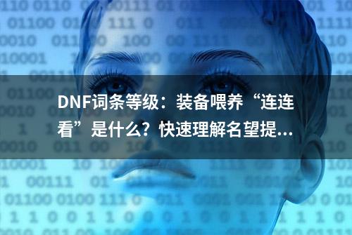 DNF词条等级：装备喂养“连连看”是什么？快速理解名望提升方式