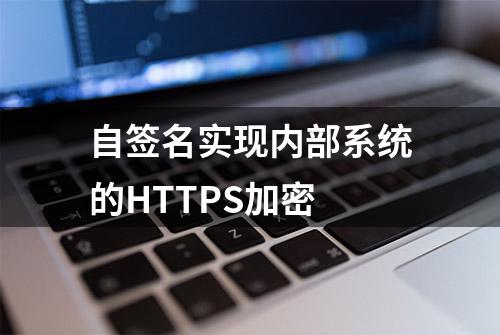 自签名实现内部系统的HTTPS加密