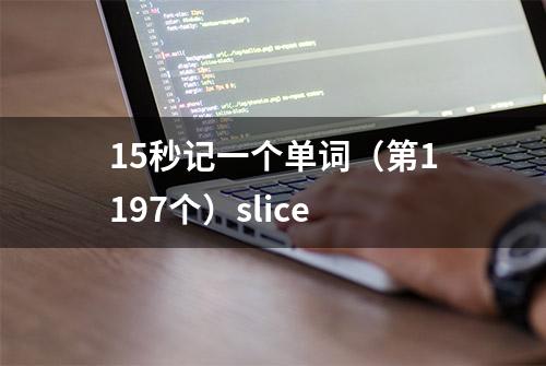 15秒记一个单词（第1197个）slice