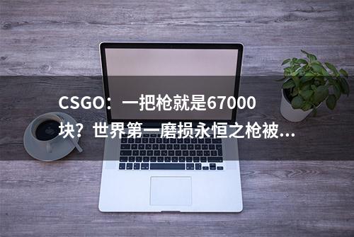 CSGO：一把枪就是67000块？世界第一磨损永恒之枪被买走