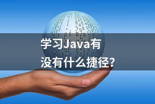 学习Java有没有什么捷径？