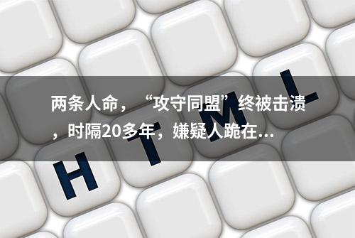 两条人命，“攻守同盟”终被击溃，时隔20多年，嫌疑人跪在了被害者坟前