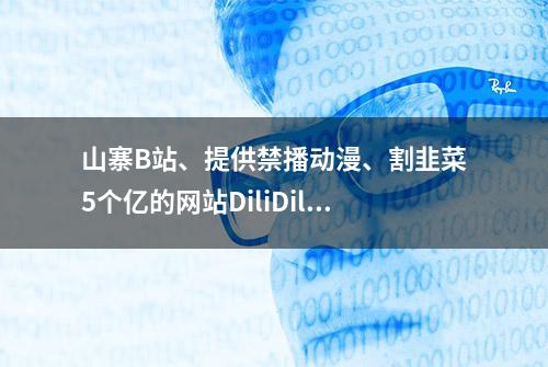 山寨B站、提供禁播动漫、割韭菜5个亿的网站DiliDili，被一锅端了