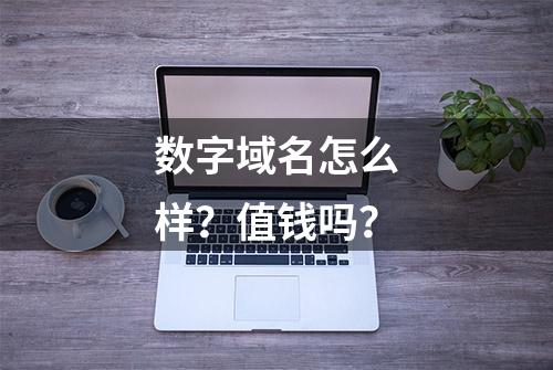 数字域名怎么样？值钱吗？