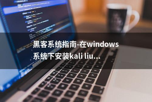 黑客系统指南-在windows系统下安装kali liunx 分步教程