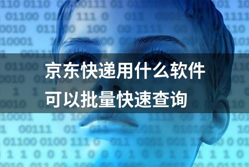 京东快递用什么软件可以批量快速查询